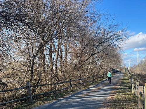 person walking on trail